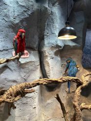 -Zoolung Zoolung动物主题公园(海信广场店)