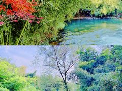-杭州植物园