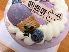 -圆鹿鹿·鲜果半糖蛋糕(常平店)