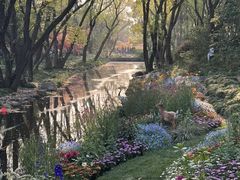 -上海共青森林公园