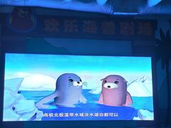 -石家庄极地海洋世界