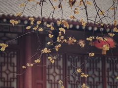 -西安大兴善寺