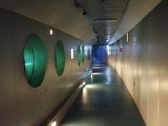 -白鹤梁水下博物馆