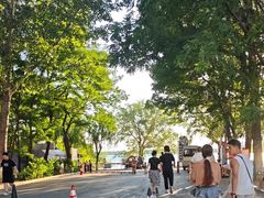 -丁香湖公园
