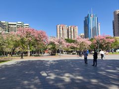 -海港城购物中心