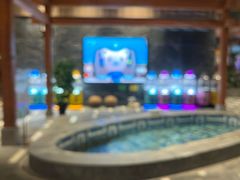 -弘安丽水温泉酒店
