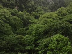 -尧山风景区