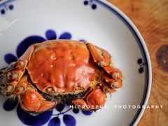 -黄记大闸蟹专卖店·活蟹·醉蟹