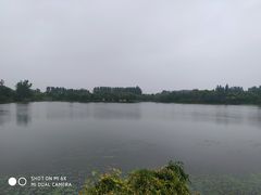 -东郊湿地公园