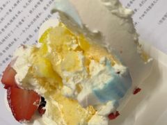 -维尔纳斯·生日蛋糕动物奶油冰淇淋蛋糕(人大店)