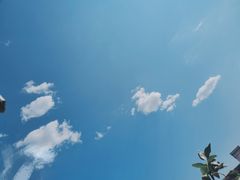 -林溪晚亭脆皮烤鱼(藁城店)