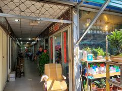 -曲阳花鸟市场(曲阳路店)