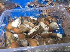 -盒马鲜生(悦峰店)