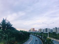 -宝安西湾红树林湿地公园