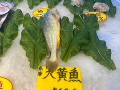 -金米箩大酒店(五角场店)