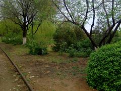 -永定河休闲森林公园