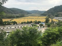 -南泥湾风景区