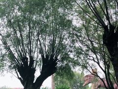 -南通洲际绿博园