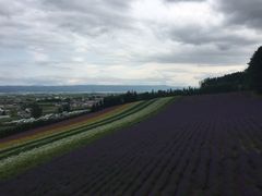 -富田农场