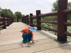 -长兴太湖图影湿地文化园