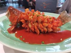 -西湖春天•老字号杭州菜(百汇店)