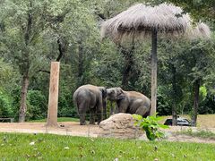 -北京野生动物园
