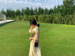 -长白岛森林公园