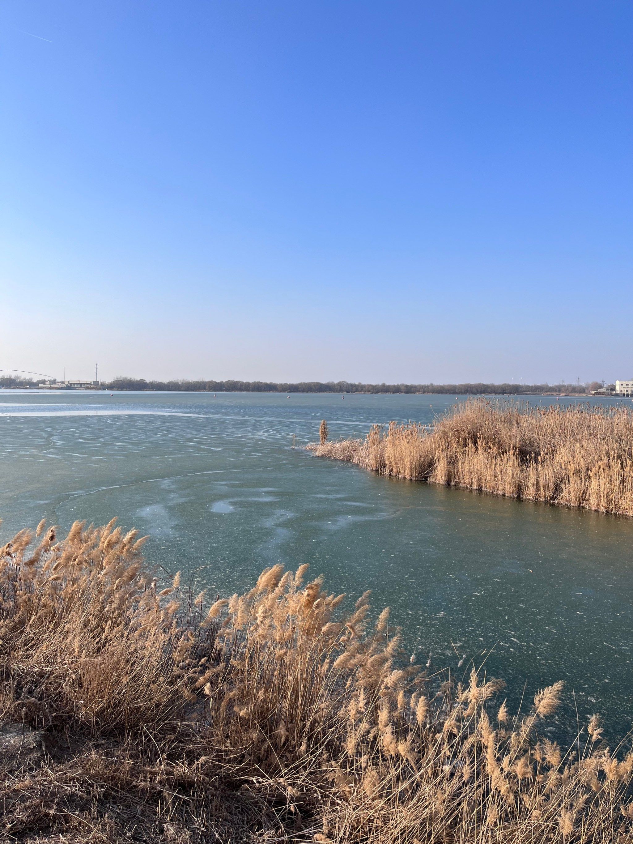 冬游衡水湖