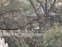-月湖风景区