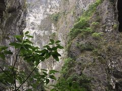 -太鲁阁公园