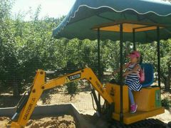 android_upload_pic-意大利农场度假村