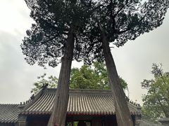 -北京凤凰岭