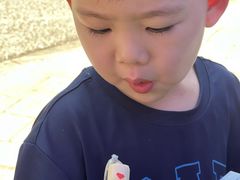 -自然谷恐龙园
