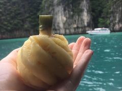 -珊瑚岛