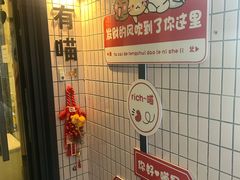 -有喵·猫咖·狗咖·30几只猫10只小狗(岗厦店)