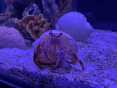 -太平洋海底世界