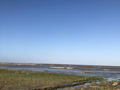 -南汇嘴观海公园