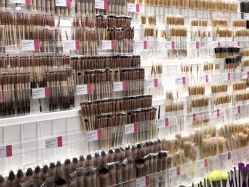 -THE COLORIST调色师