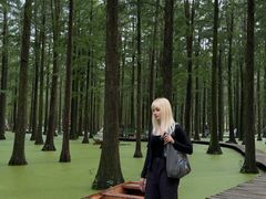 -渌洋湖湿地公园