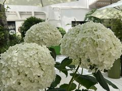-Carmen卡门西班牙餐厅