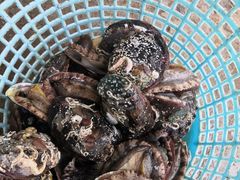 -红月湾海鲜饭店•沙滩海景(双月湾店)