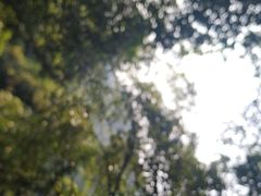-火炉山森林公园