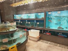 -怀德酒楼·粤菜·海鲜·茶点(宝安国际机场店)