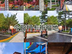 -青岛方特梦幻王国