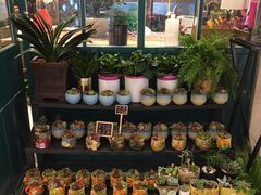 -BOBLOOM花店(宝龙旭辉广场店)