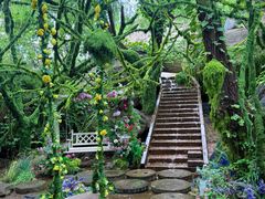 -沂蒙云瀑洞天景区