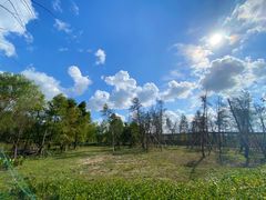 -上海浦江郊野公园-3号停车场