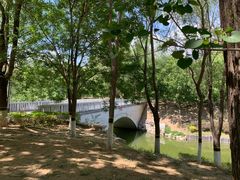 -大兴滨河森林公园