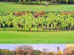 -广州体育学院体育馆-南馆