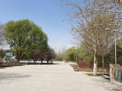 -望湖公园